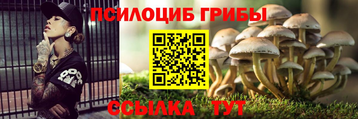 Псилоцибиновые грибы мухоморы Вологда